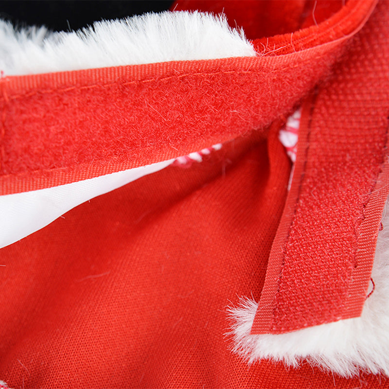 Pet Christmas Costume