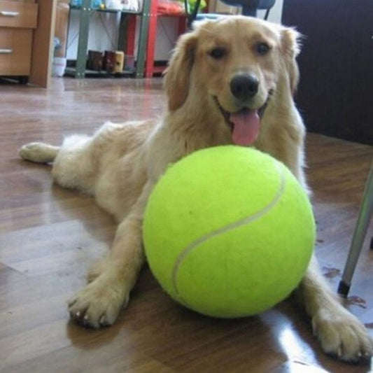 Huge Tennis Ball for Dogs